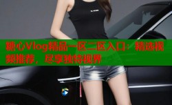 糖心Vlog精品一区二区入口：精选视频推荐，尽享独特视界