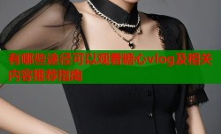 有哪些途径可以观看糖心vlog及相关内容推荐指南